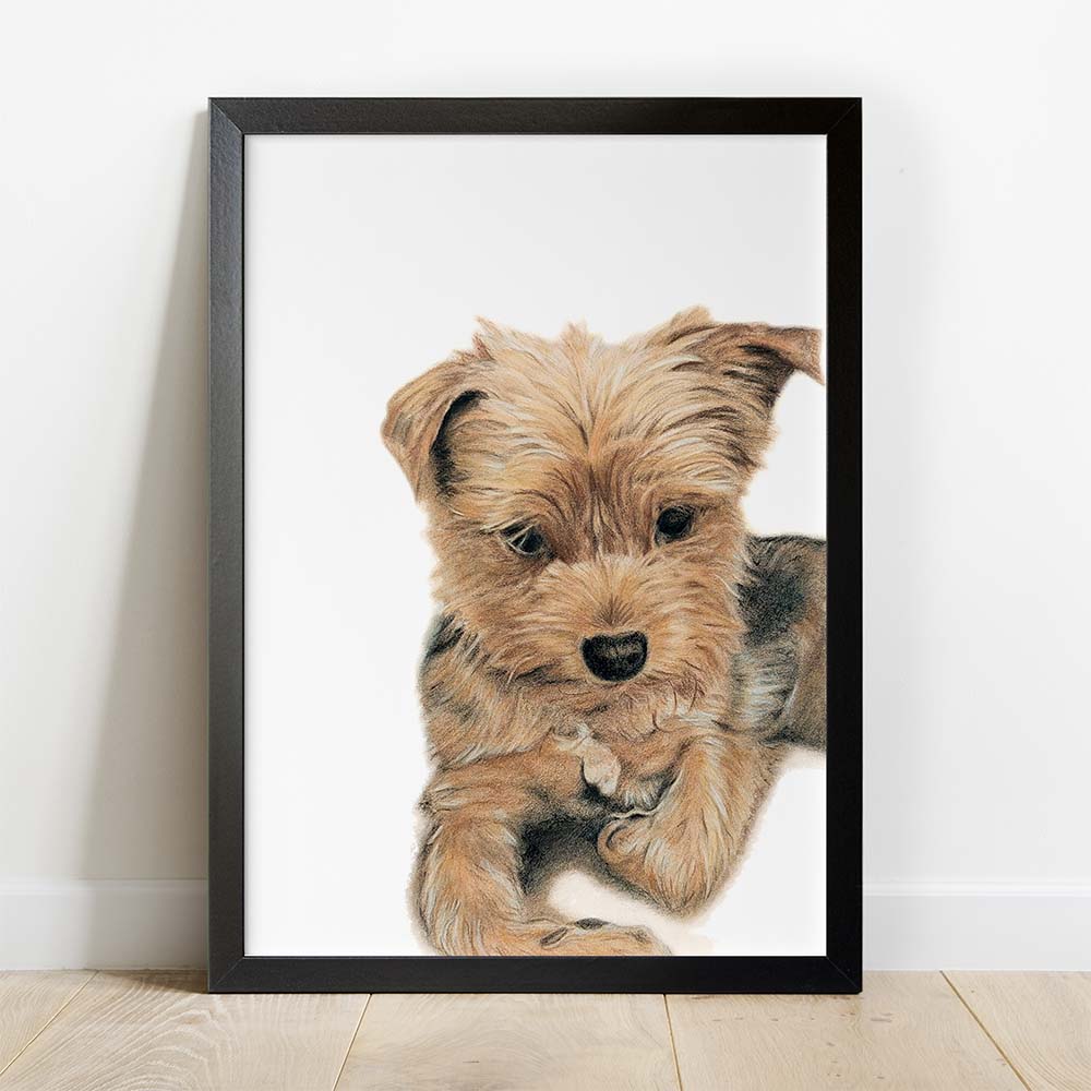 Personalized Dog Portrait From Photo, Colored Pencils, 100% Hand Painting