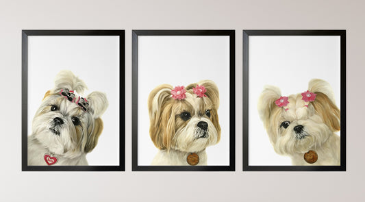 10 Reasons Why You Should Have Pet Portraits of Your Dogs
