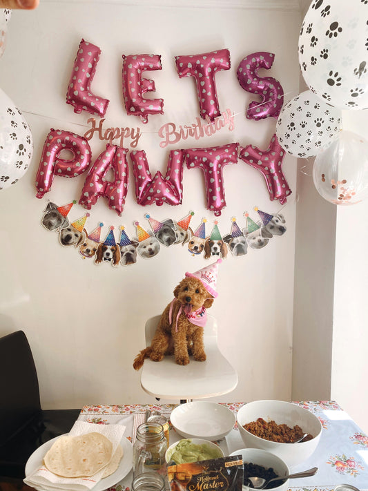 Celebrating Your Pet's Birthday: Creative Ideas for Throwing a Memorable Paw-ty!